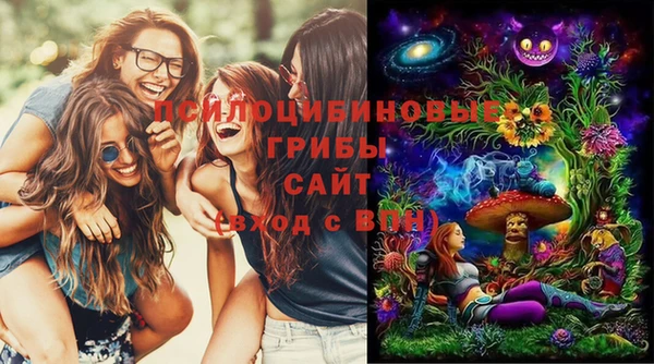 стафф Володарск